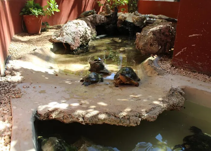El Acuario Playa del Carmen