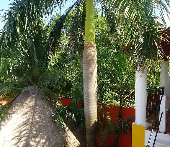 El Acuario Playa del Carmen