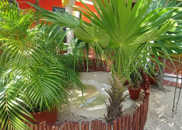 El Acuario 3* Playa del Carmen