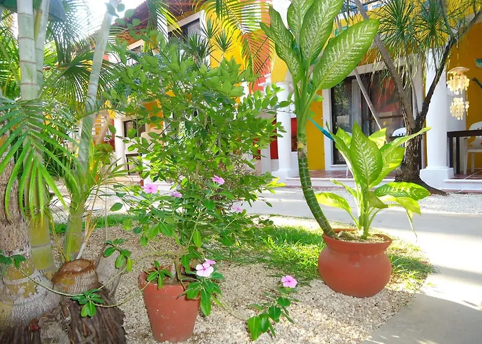 El Acuario Playa del Carmen
