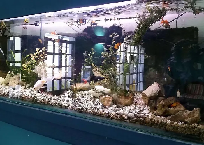 Hotel El Acuario Playa del Carmen